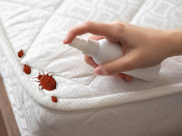 Best Cockroach Control  in Albany, IN